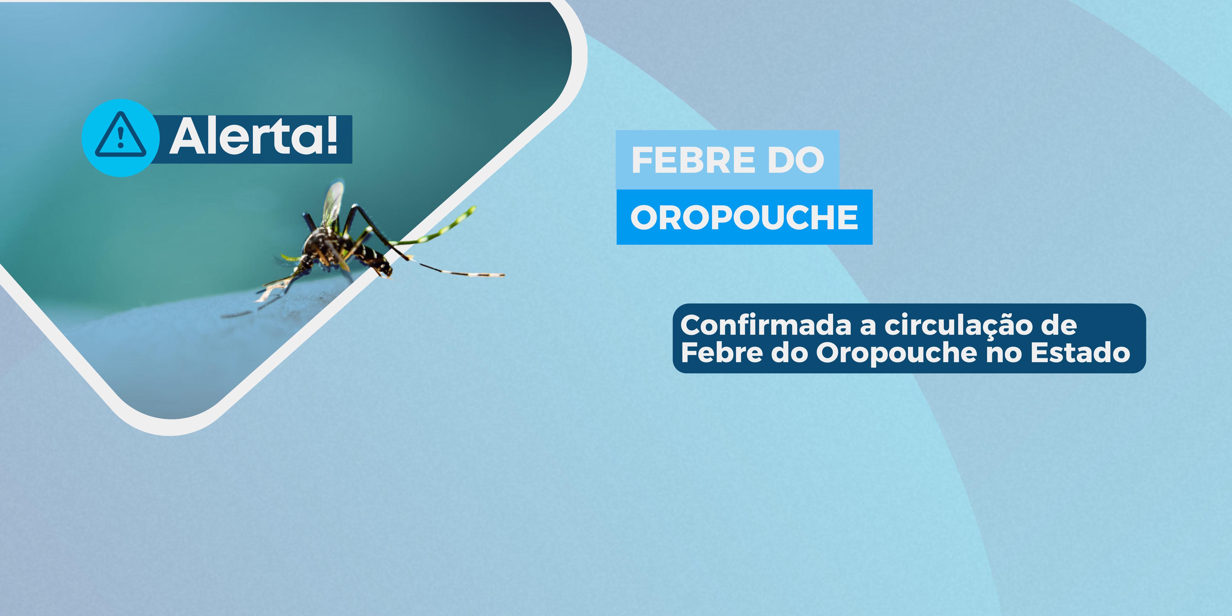 Alerta sobre circulação da Febre do Oropouche no Estado do Espírito Santo